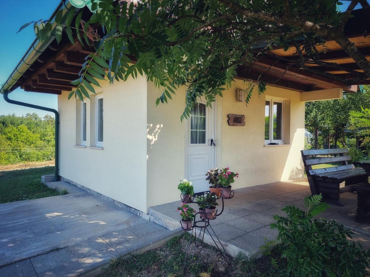 Guesthouse Mreznica- Mreznicka Idila Resort Galovic-Selo Exterior foto