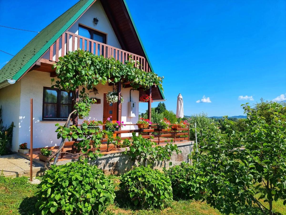 Guesthouse Mreznica- Mreznicka Idila Resort Galovic-Selo Exterior foto