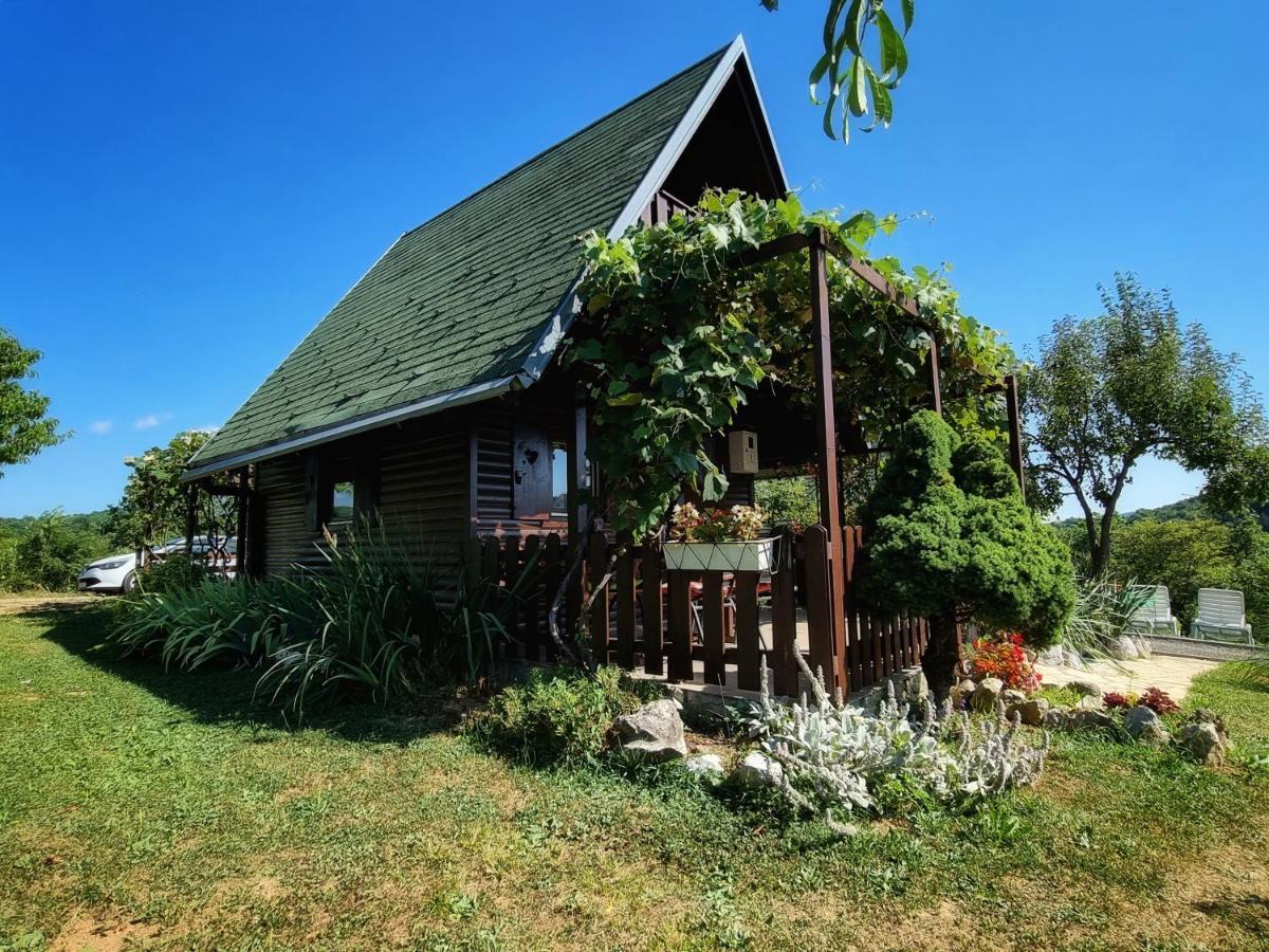 Guesthouse Mreznica- Mreznicka Idila Resort Galovic-Selo Exterior foto