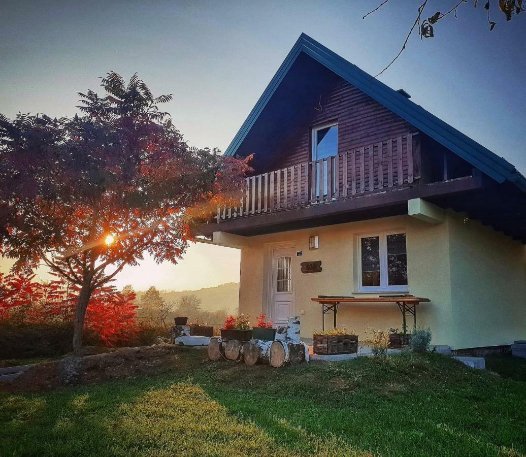 Guesthouse Mreznica- Mreznicka Idila Resort Galovic-Selo Exterior foto